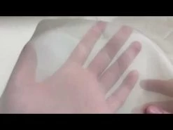 Silk Organza- Shortbread #8870