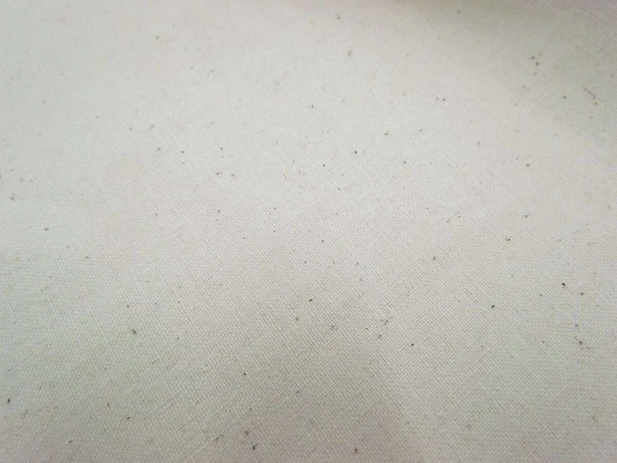 Calico- 137cm 4 Calico- 137cm - Image 2