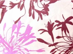 Flower Market #53- Ochre