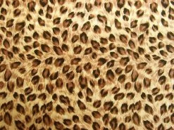 Wild Spot Cotton- Caramel Brown #PW1235