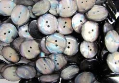 Black Shell Finish Couture Buttons- CB224