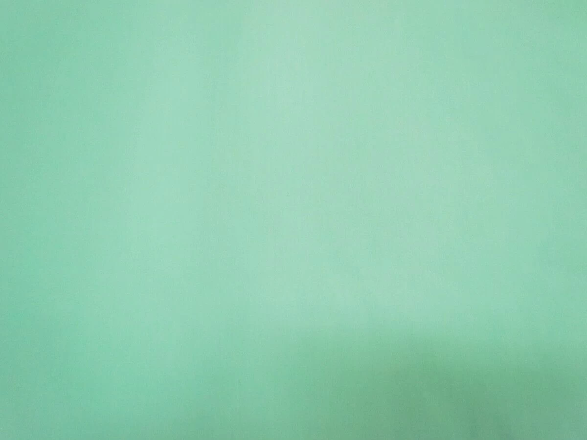 Poplin- Mint 4 Poplin- Mint - Image 2
